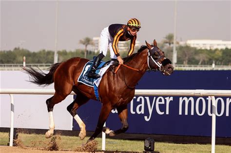meydan races results|Iba pa.